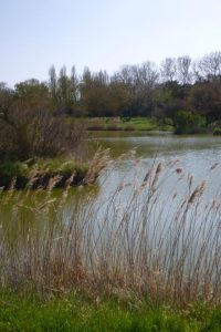 lac des rouches